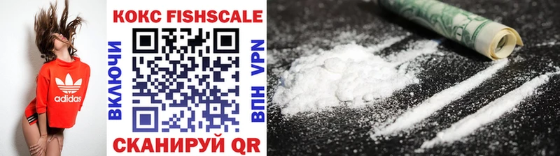 Купить  Бирюсинск  Cocaine FishScale 
