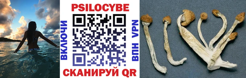 Псилоцибиновые грибы ЛСД Бирюсинск