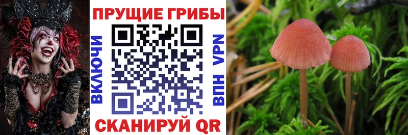 Псилоцибиновые грибы GOLDEN TEACHER  Купить  Бирюсинск 